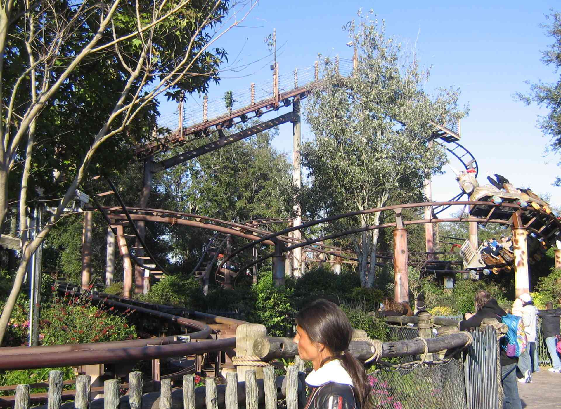 Flight of the Hippogriff Family Attraction Roller Coaster at